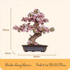 DIY bonsai tree, cherry blossom model, wooden bonsai kit, 3D wooden puzzle kit, bonsai tree craft, cherry blossom tree puzzle, DIY nature model, bonsai puzzle kit, wooden bonsai puzzle, eco-friendly wooden craft, nature-inspired décor, DIY cherry blossom craft, wooden bonsai tree kit, craft kit for nature lovers, bonsai tree décor
